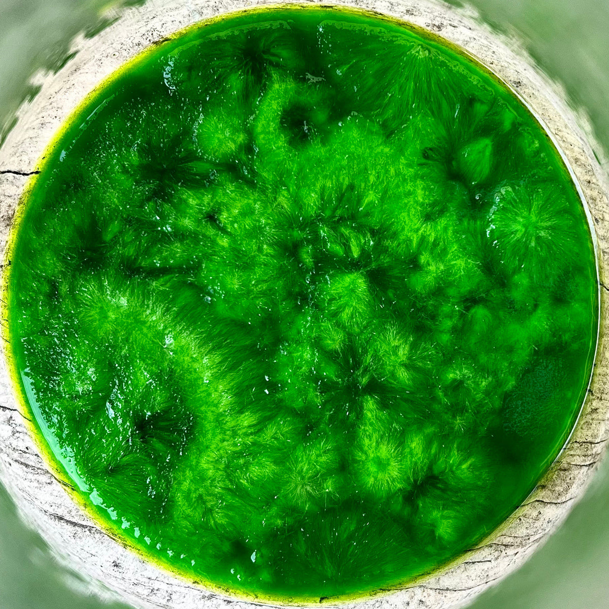 Oil of Copper