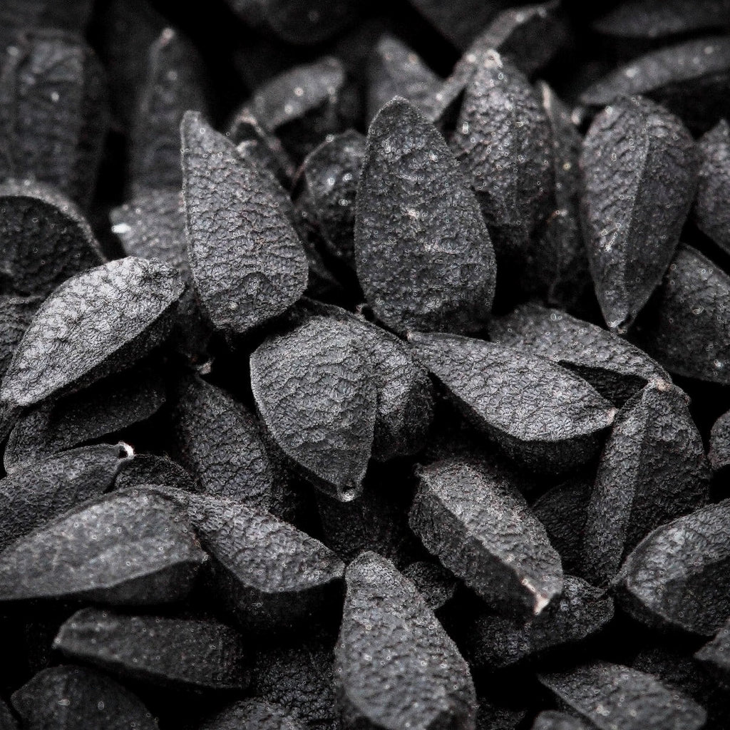 Black Seed Quintessence