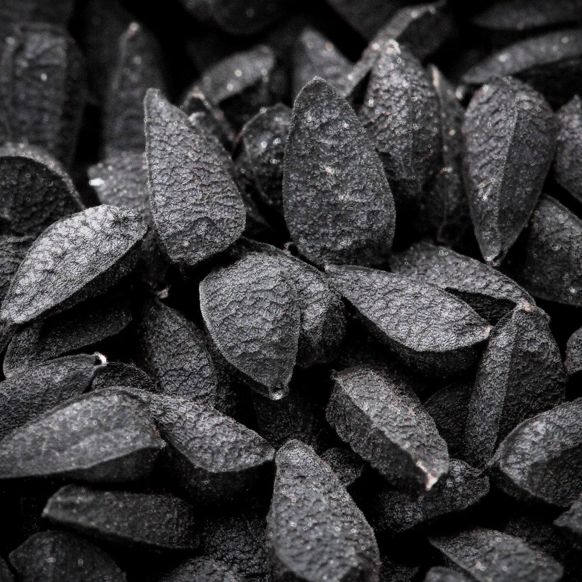 Black Seed Quintessence